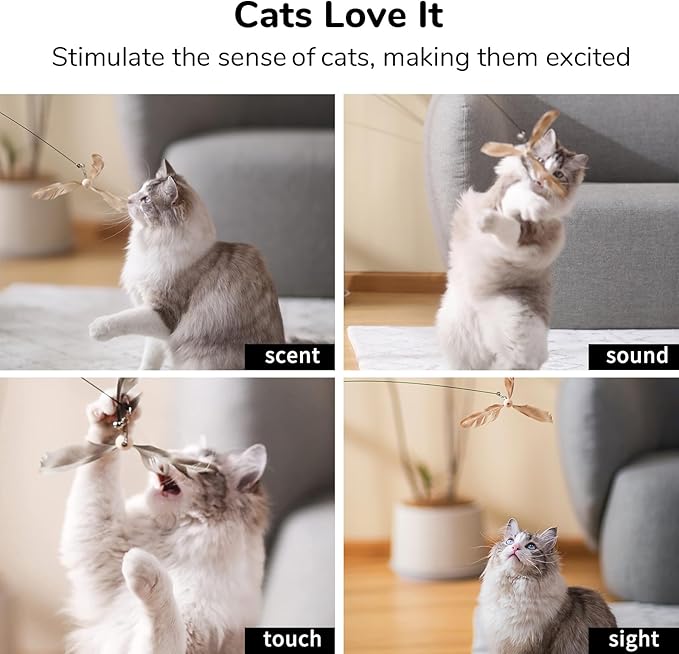 FUKUMARU Cat Wand Toy Natural Feather, Cat Toy Feather Replacement (3 PCS Feather Replacement)