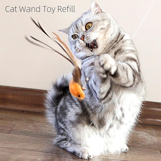 Door Hanging Cat Toy,Cat Toy for Indoor Cats,Cat Wand Toy Refill, Interactive Bird Simulation Cat Toy Set, Feather Cat Toys Bird, Cat Toy Wand Replacement Attachments,Cat String Toy(4 Bird)