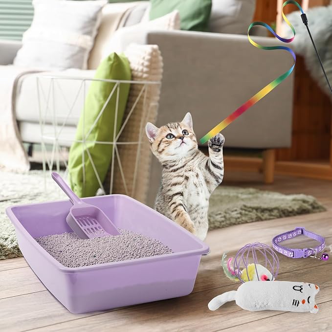 7 Pcs Small Cat Kitten Starter Kit Cat Litter Box with Shovel Cat Paw Litter Mat Double Automatic Cat Bowls Cat Toy Teaser Stick Cat Collar Essentials Kits for 1-3 Lbs Beginner (Purple,Simple)