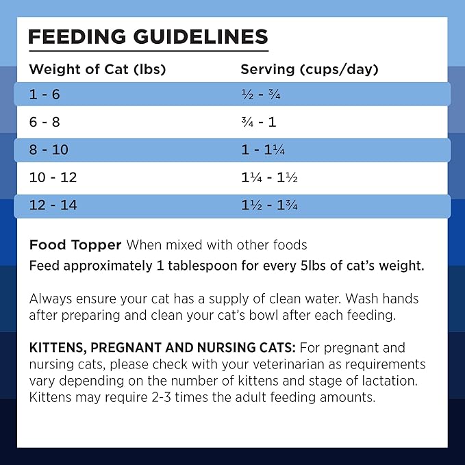 BIXBI Rawbble Freeze Dried Cat Food, Turkey Recipe, 3.5 oz - 94% Meat and Organs, No Fillers - Pantry-Friendly Raw Cat Food for Meal, Treat or Food Topper - USA Made in Small Batches