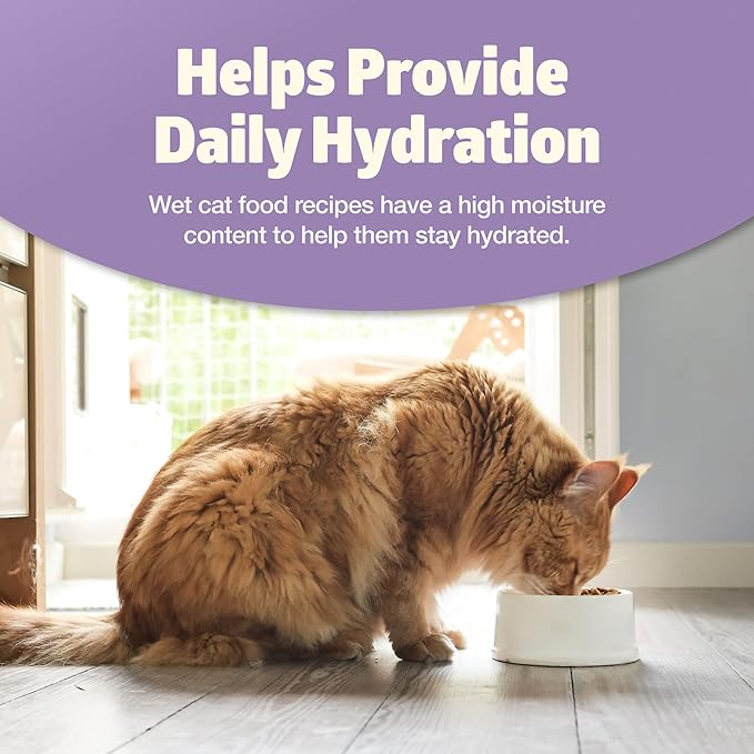 Blue Buffalo Freedom Grain-Free Adult Wet Cat Food, Complete & Balanced Nutrition for Indoor Cats, Made with Natural Ingredients, Chicken Recipe, 3-oz. Cans (24 Count)