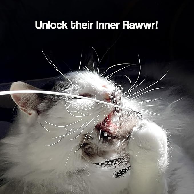 Cat Park Cat Wand Toys for Indoor Cats - 2PCS Interactive Cat Toy Wand with 4 Cat Feather Toys Refills, 27" Flexible Steel Wire, Sturdy Wood Handle & Bell, Fun Kitten or Cat Teaser Toy to Play, Chase