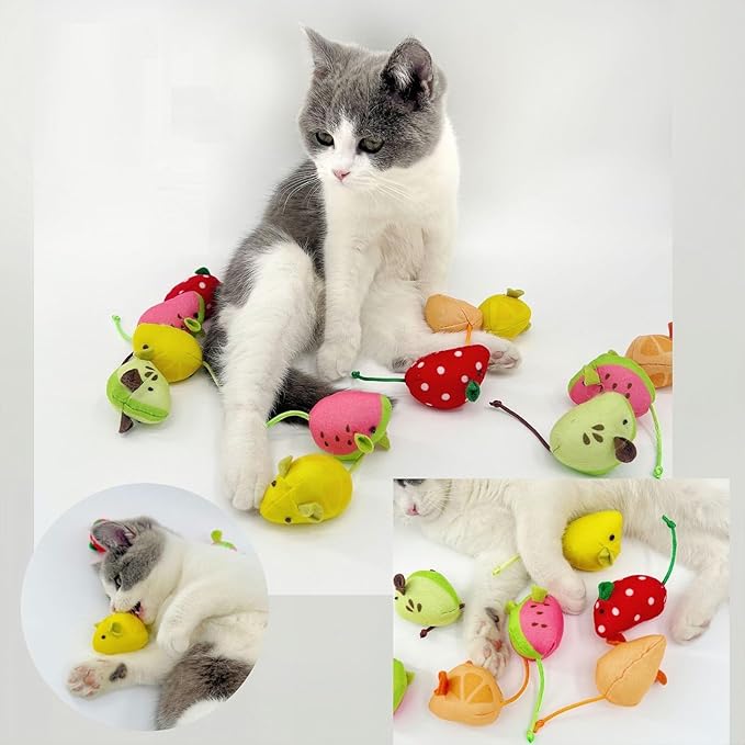 Catnip Cat Mice Toys Interactive Mouse Cat Toy for Indoor Adult Cats Kitten Kitty Baby Cat Chew Exercise Toy Fruit-Shaped Mice Cat Toy Set - 5PCS