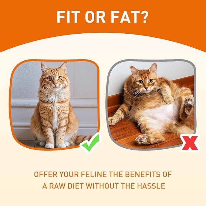 PURPOSE Natural Dry Cat Food, Grain Free Dry Cat Food, Protein Rich Indoor Cat Food for All Breeds and Life Stages, Free-Range Chicken Recipe with Postbiotics, 4.5lb Bag, USA Made…