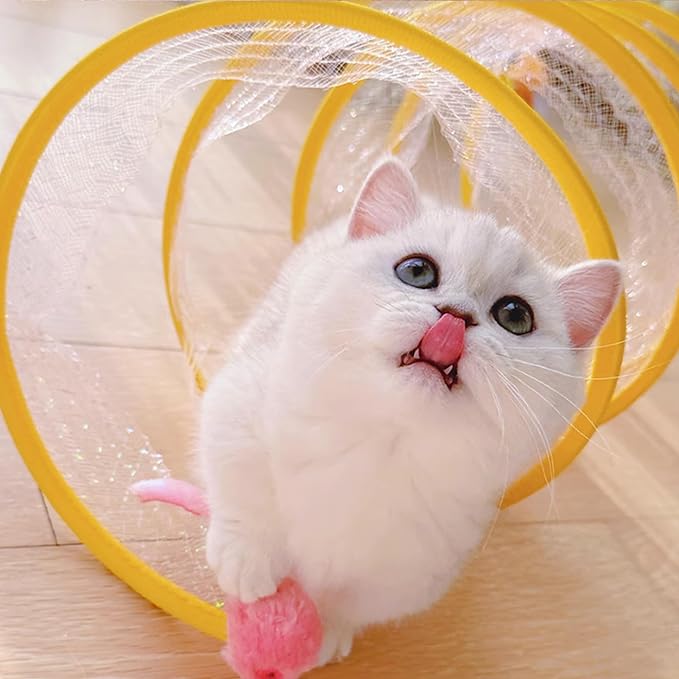 Folded Cat Tube Tunnel,Cat Toys for Indoor Cats Large,Cat Tunnel Bed for Kittens,Cat Donut Tunnels,Whisker Twister for Cats,Cat Toy for Indoor Cats,Decompression Interactive Cat Springs Toys