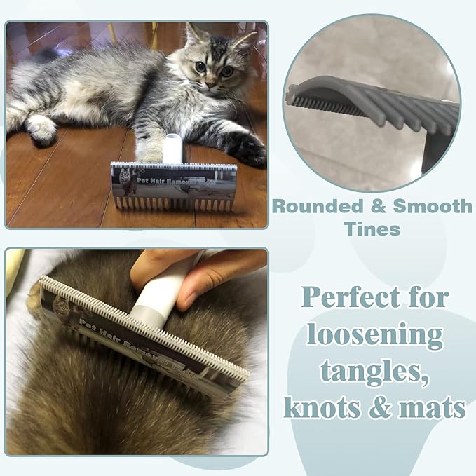 2 in 1 Pet Hair Removal Tool, 2 Sizes Serrated Scraper Edges, Portable Pet Hair Remover, Cat Hair Remover for Furniture, Rug Scraper for Pet Hair, Long Tooth Comb for Dog Grooming