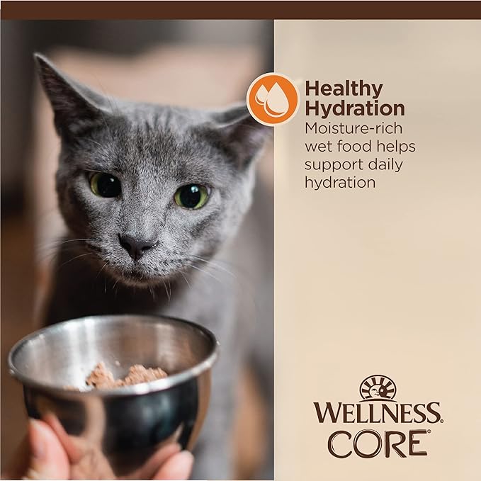 Wellness CORE Tiny Tasters Wet Cat Food, Complete & Balanced Natural Pet Food, Made with Real Meat, 1.75-Ounce Pouch, 12 Pack (Adult Cat, Minced Chicken in Gravy)