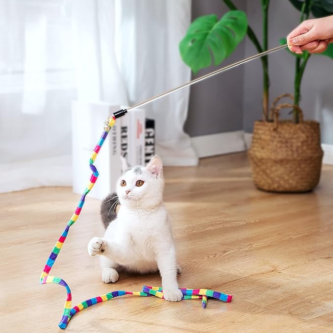 FYNIGO Interactive Cat Kitten Wand Toy Set,2 Retractable Fishing Pole+1 Rainbow Teaser Wand+9 Refills +2 Spare Hook,Funny Cat Feather Toys for Indoor Cats and Kittens to Chase Exercise(14 Pack)