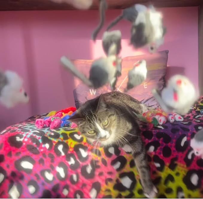 Smokey's Stash Gray and White Faux Fur Cat Mice Toy 12 Per Pack Multi Color Realistic Interactive Small Mouse with Rattle and Catnip Safe for Adult Cats and Kittens