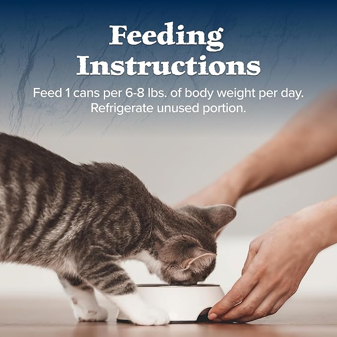 Blue Buffalo Wilderness Wild Delights Adult Flaked Wet Cat Food, High-Protein & Grain-Free, Made with Natural Ingredients, Chicken & Trout Recipe in Tasty Gravy, 3-oz Cans (24 Count)