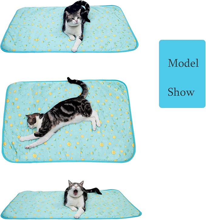 SEIS Dog Ice Pad Ice Silk Cats Kennel Mat Pet Cooling Pad Summer Cool Bamboo Mat Breathable Pad (Blue Fruit, M