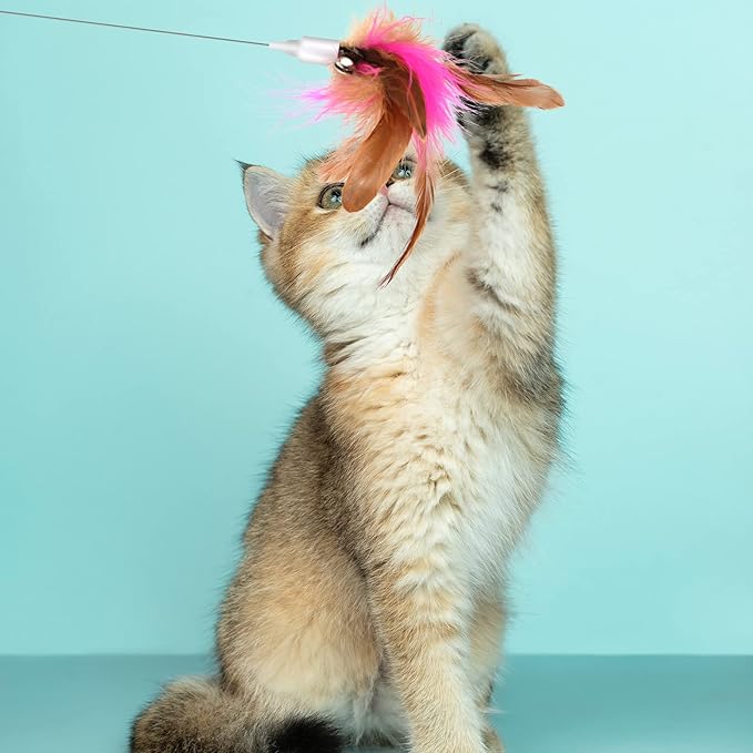 Cat Teaser Wand Toy, Cat Teasing Wand Collar Silicone Adjustable Cat Wand Toy Feather with Bell Cat Interactive Teaser Toys for Indoor Cat Kittens Playing Exercise (Pink)