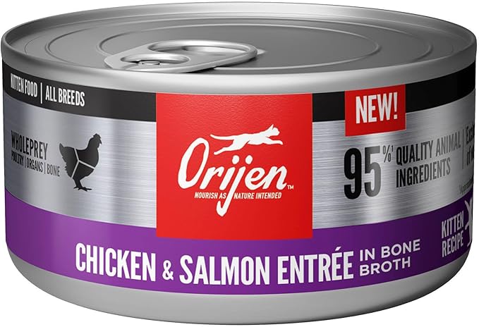 ORIJEN Kitten Chicken and Salmon Entree in Bone Broth Wet Cat Food, WholePrey Ingredients, 3 oz (Case of 24)
