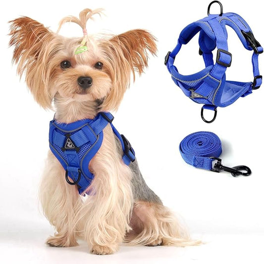 Vest Harness Leash Set for Small Dog Large Cat, Upgraded Escape Proof Adjustable Jacket with Lead for Puppy Fat Cat Outdoor Walking, Soft Breathable Mesh Coat with Reflective Strip XL Blue