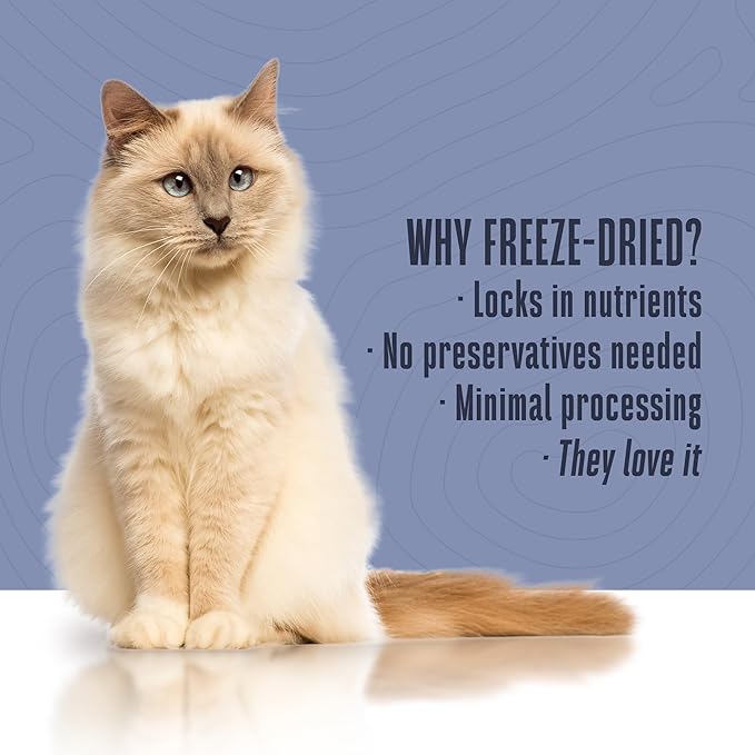 Whole Life Pet Freeze Dried Cat Food - Bland Diet for Cats with Sensitive Stomachs, Digestive Support, Anti-Diarrhea & Vomit Remedy – Human-Grade, Quick & Easy Chicken and Rice Meal, Ready in Minutes