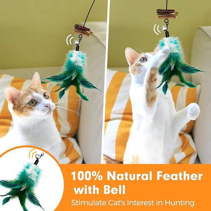 Cat Wand Toy, Cat Feather Toys with Silvervine & Bells, 2 * Cat Teaser Wand & 6 * Teaser Refills, Extra Long 38.5" Wire Cat Wand, Cat Toy for Indoor Cats & Kitten & Kitty