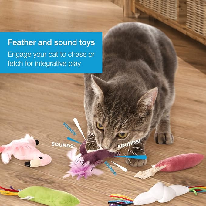 kensie Interactive Sloth/Flamingo/Sloth/Knot, for Indoor Cats Kitten Play Chase Exercise, Kitten Fun Mental Physical Exercise Puzzle Eliminates Boredom, 7 Pcs Cat Teaser Toy Set