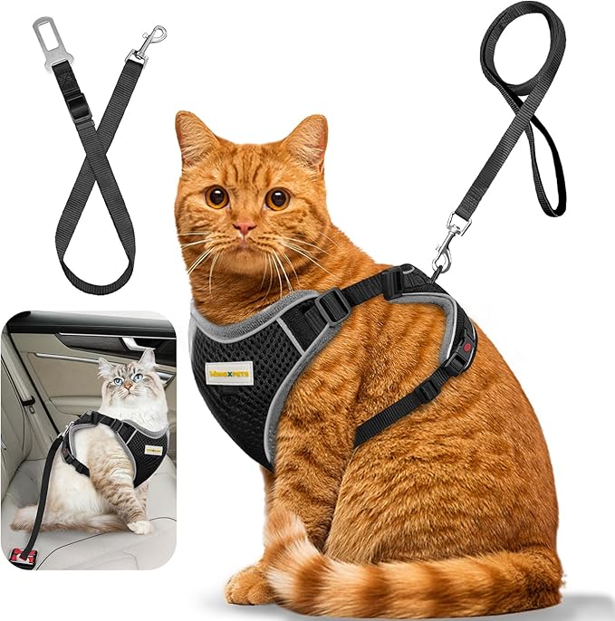 Cat Harness and Leash for Walking, Retractable Cat Harnesses and Leash Set Escape Proof, Breathable Soft Kitten Harness Small Large Cat Harness for Travel Training and Walking, Black, S