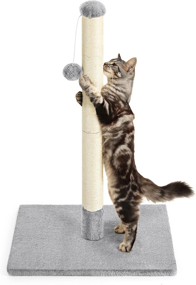 32" Tall Scratching Posts for Indoor Cats Adults Cat Scratchers with Interactive Hanging Toy Ball Cat Scratch Furniture Protector Scratcher Post with Stable Heavy Base, Light Grey