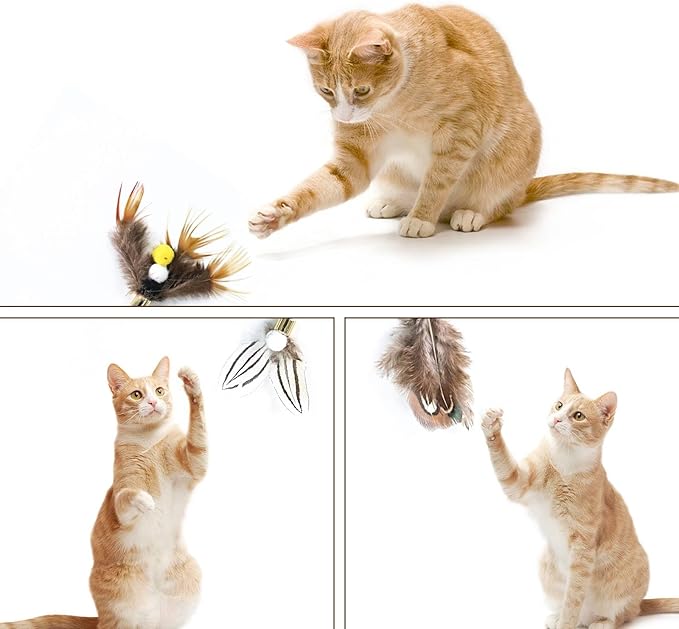 Cat Insect Feather Toys Replacement Cat Toy Wand Refills, 6 Pieces Natural Insect Cat Toy Feathers Refill, Interactive Cat Teaser Wand Attachments, with Bell