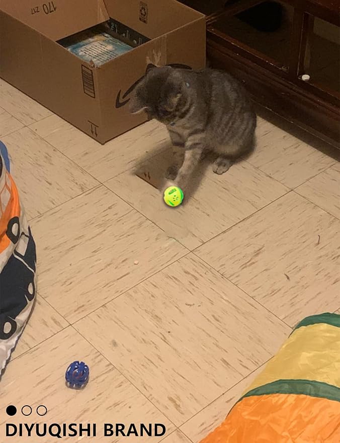 Cat Toys – 14PCS Set with Organic Catnip for Indoor Cats – Sturdy, Safe, and Fun Toys for Cats