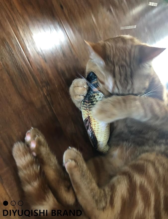 Cat Toy Gift Set - 5 Colorful Bell Balls + Fish-Shaped Catnip Toy, Perfect for Interactive Play, Anxiety Relief, Digestion Aid, Exercise, for All Cats