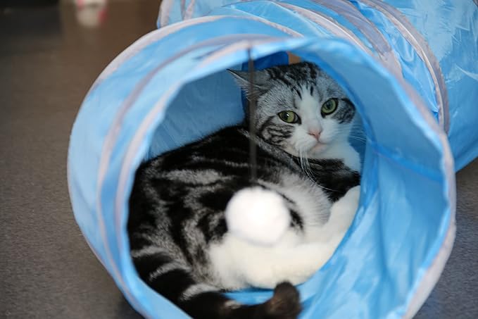 PetLike S Way Cat Tunnel Collapsible Pop-up Pet Tube Hideaway Play Toy with Ball (S-Way, Blue)