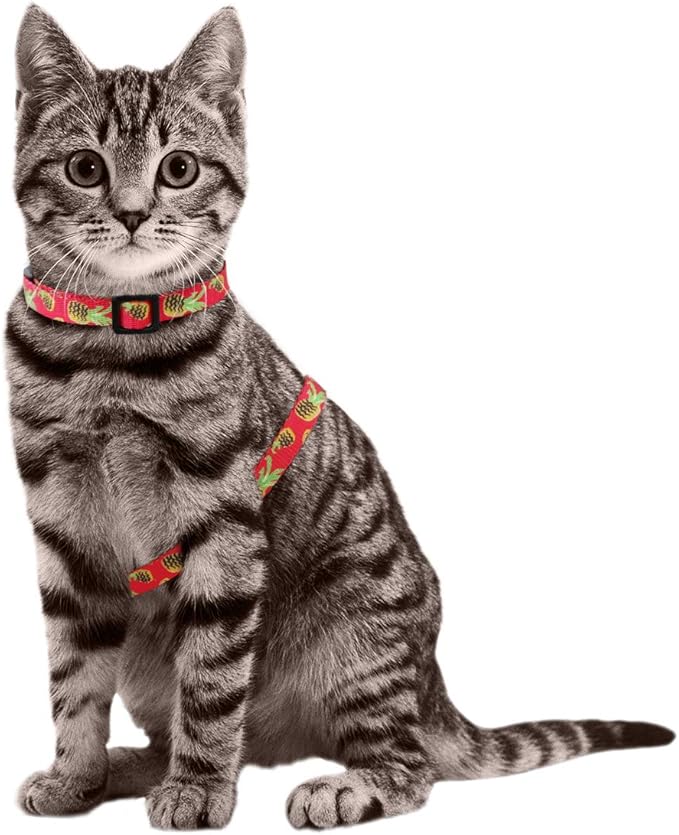 azuza Cat Harness and Leash Set for Safe Walking and Travel, Escape Proof Cat Harness, Lightweight Soft and Comfortable, Adjustable Kitten Harness for Small Medium Large Cats, Pineapple