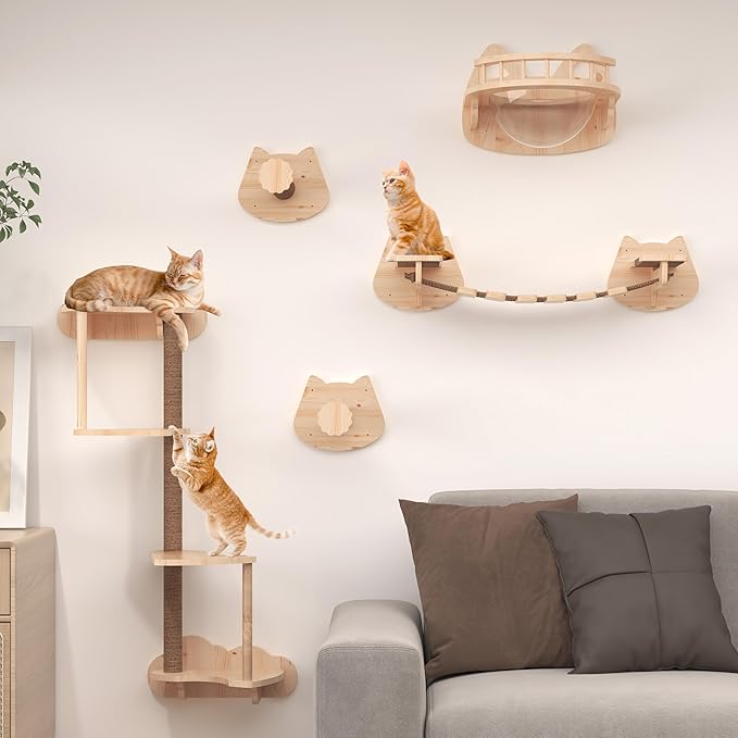 Transparent Capsule Cat Wall Furniture Set of 13, Cat Shelves with 2 Sisal Scratching Steps, 4 Tier Cat Scratching Post, Cat Bridge, Wall Mounted Cat Bed for Kitty or Cats up to 33 lbs