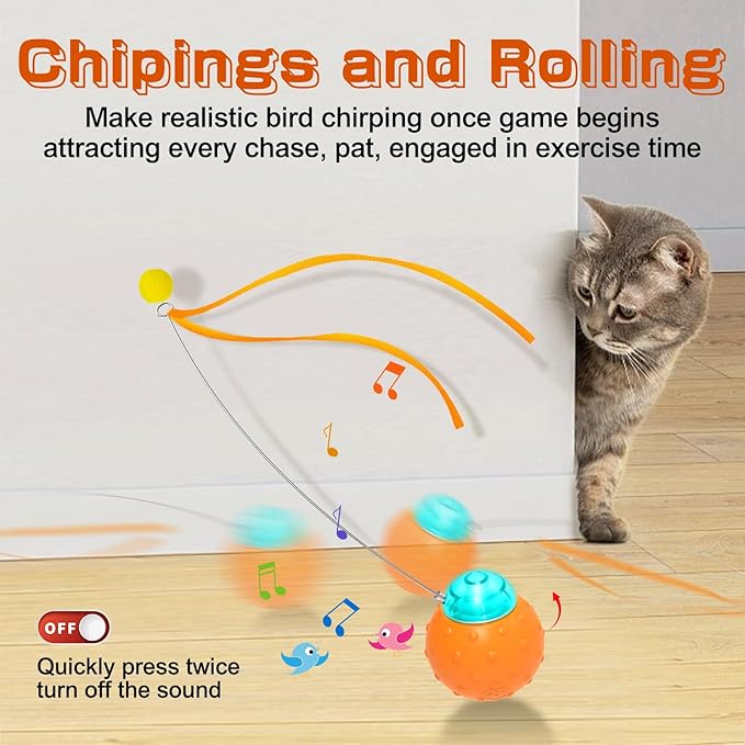 Interactive Cat Toy Ball, Touch Activated Cat Toys for Indoor Cats with Chirping Bird, Automatic Rolling Ball, Rechargeable Self Play Cat Toys