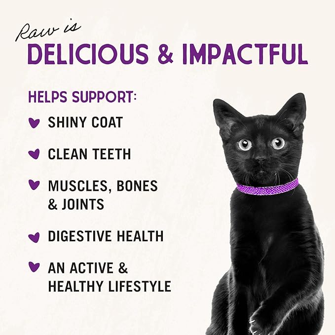 Stella & Chewy's Freeze-Dried Raw Cat Dinner Morsels – Grain Free, Protein Rich Cat & Kitten Food – Bountiful Beef Recipe – 18 oz Bag