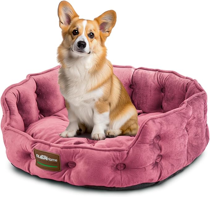 ClevaHome Cat Dog Bed for Small Pets up to 15lbs - Round Cat Beds for Indoor Cats, Machine Washable Comfortable Pet Bed for Puppy and Kitten with Non-Slip Bottom (Plum Pink)