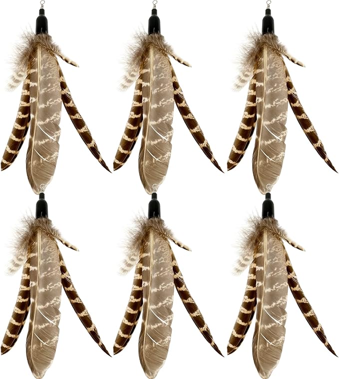 Cat Feather Toys Refills Cat Wand Replacement, 6 PCS Handmade Natural Da Bird Feathers Refill, Cat Toy Feather Replacement for Indoor Cats (C)