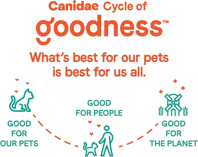 Canidae Goodness for Skin and Coat, Premium Adult Dry Cat Food with Real Salmon, 10 lbs.
