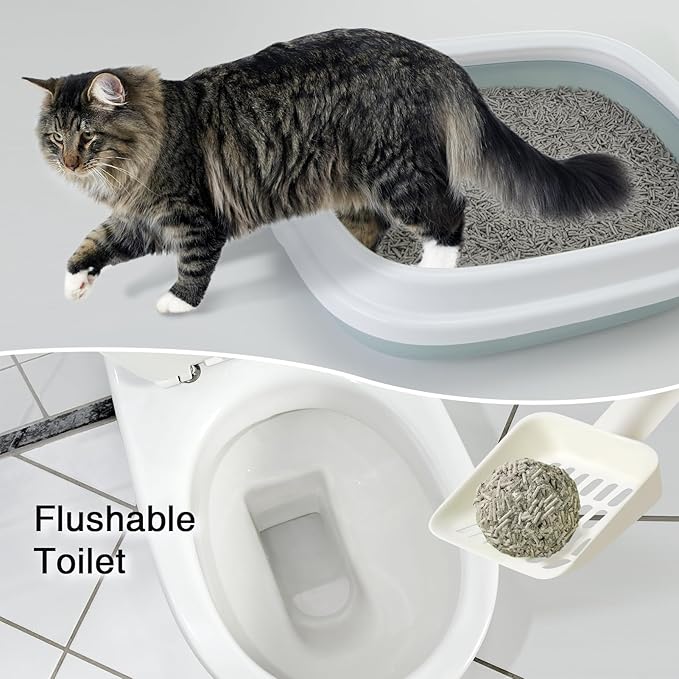 BLUERISE Tofu Cat Litter 6LB×2Bags Natural Cat Litter Flushable Toilet Quick Clumping Dust Free Odor Control Kitty Litter(Activated Carbon 12LB)