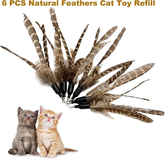 Cat Feather Toys Refills Cat Wand Replacement, 6 PCS Handmade Natural Da Bird Feathers Refill, Cat Toy Feather Replacement for Indoor Cats (C)