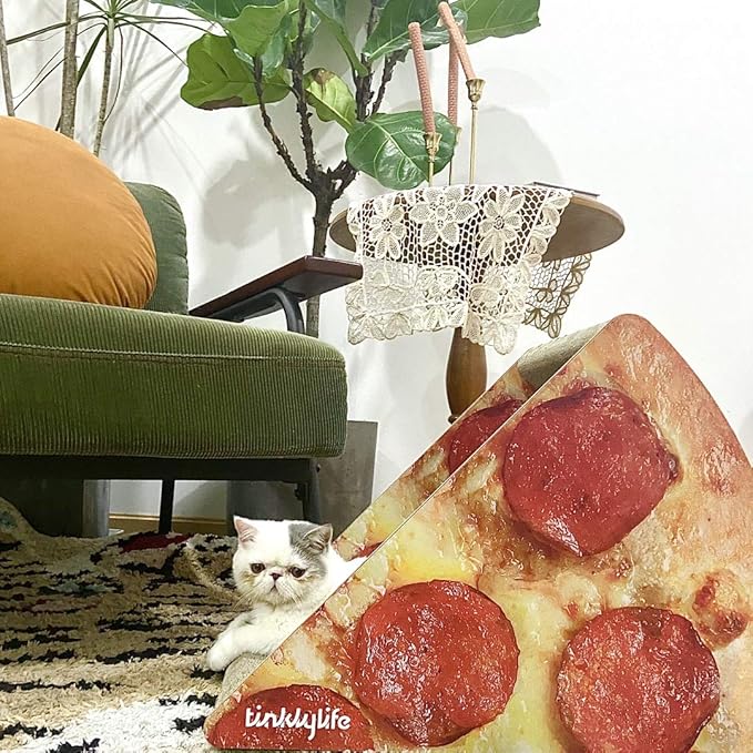 Cat Condo Scratcher Cardboard, Looking Well with Delicious Pizza Shape Cat Scratching House Bed Furniture Protector