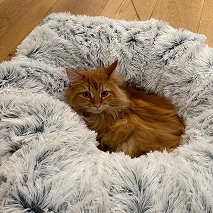 Cat Tunnel Bed for Indoor Cats Multifunctional Large Cat Tunnel 3 in 1 Cat Tubes and Tunnels Peekaboo Cat Cave Fluffy Donut-Shape Pet Play Tunnel for Multiple Cats Kitten Small Puppies (Grey)