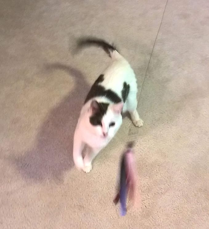 Ribbon, Leather and Fur Attachment Cat Toys - Fit Wildcat and Popular Bird and Catcher Type Wands/Poles (Ribbons)