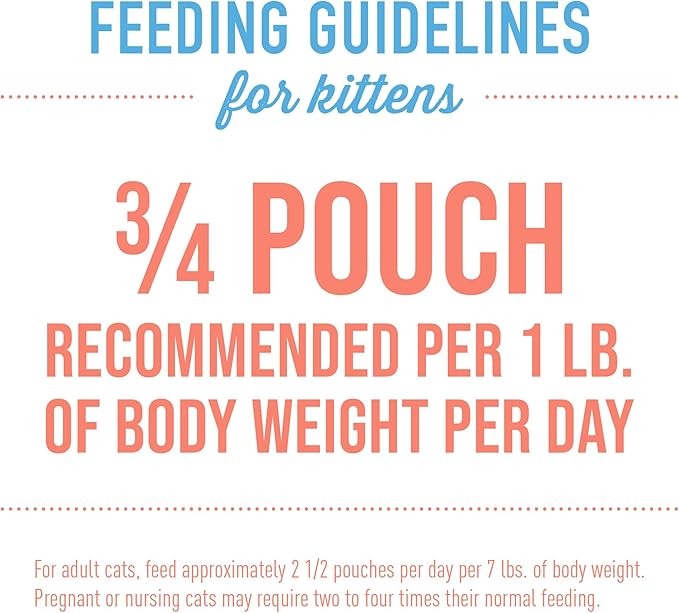 Tiki Cat Baby, Salmon & Chicken, Grain-Free and Nutrient Rich, Wet Cat Food for Kittens 4 Weeks+, 2.4 oz. Pouch (Pack of 12)