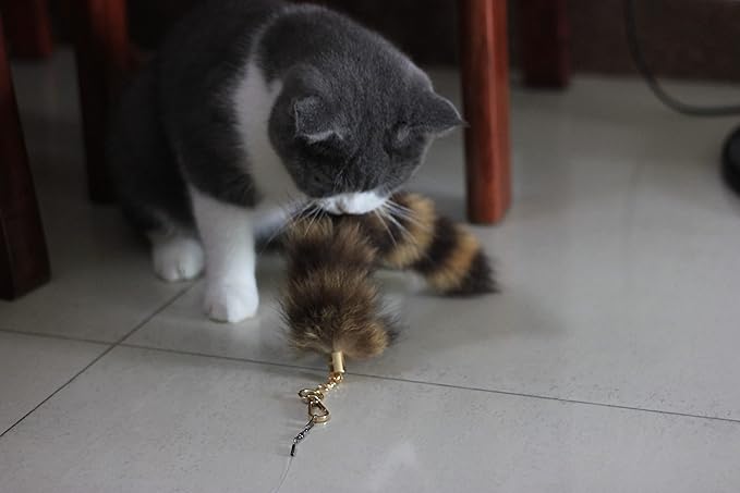 Fosrion Real Raccoon Tail Fur Cat Bites Toy with Three Section Retractable Carbon Fiber Rod (Raccoon, Only Tail)