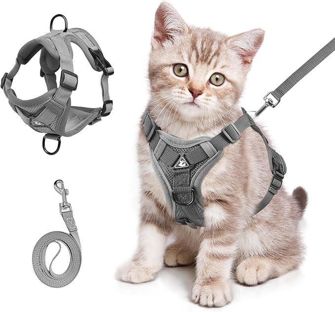 shudyear Summer cat Chest Harness and Leash, Anti-Escape Adjustable Soft mesh cat Leash and Chest Harness Set for All Types of Cats cat Vests (S)