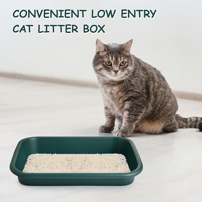 3 Pcs Large Cat Litter Box, Low Entry Senior Cat Litter Box Open Top Pet Litter Boxes Tray for Big Older Cats Kitten Sick Frail or Disabled Cat, 23.2" L x 16.5" W (Green)