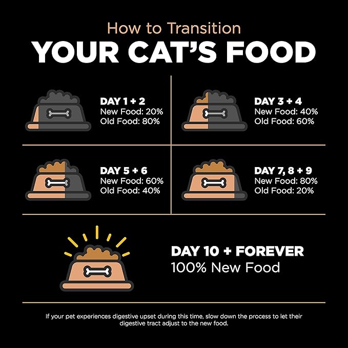 Go! Solutions Digestion + Gut Health, Dry Cat Food, Salmon Recipe with Ancient Grains, 8 lb Bag