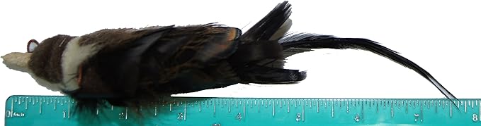 Magpie Bird Refill/Attachment - Fits Wildcat and Popular Bird and Mouse Type Wands/Poles