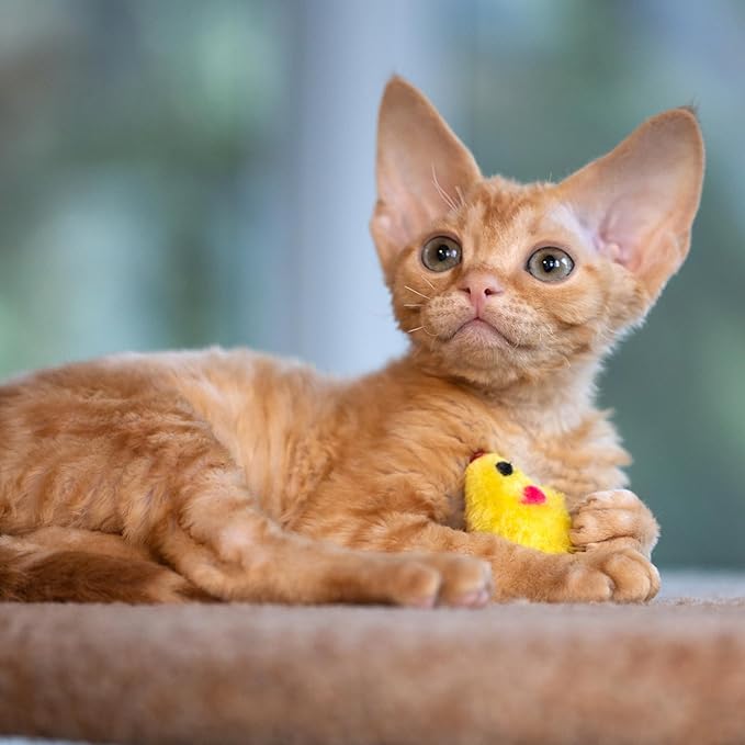 Smokey's Stash Faux Fur Cat Mice Toy 12 Per Pack Multi Color Realistic Small Mouse with Rattle and Catnip Safe for Adult Cats and Kittens 5.5 inches Long