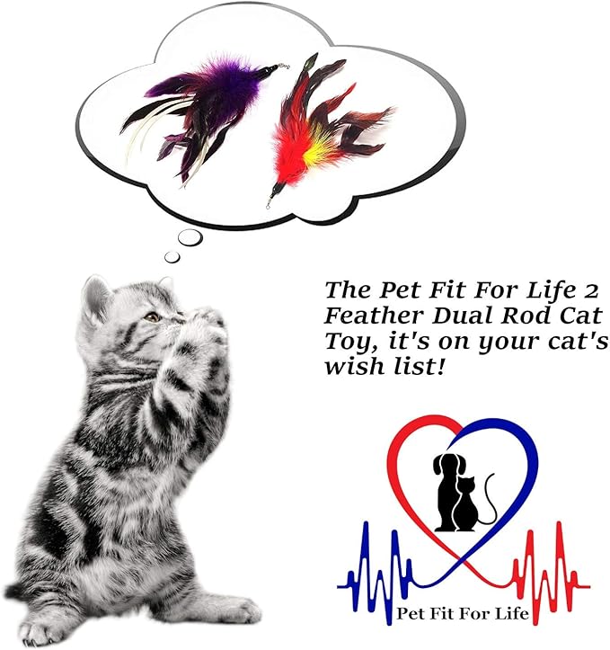Pet Fit For Life Cat Wand Toy - Irresistible Cat Flirt Pole - Ultimate Feather Teaser for Indoor Cats - Safe & Durable for Interactive Play