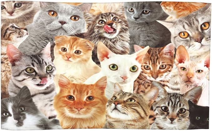 SARA NELL Cute Cat Microfiber Beach Towel Cat Breed Bath Towel for Cat Lover, Sand Free, Oversized, Super Absorbent, Quick Dry Towel for Travel Swimming, Sports, Beach, Gym,(31" x 51")