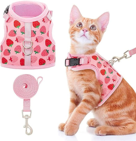 BINGPET Cat Harness with Leash Escape Proof - Fashionable Mesh Cat Dog Walking Harness Leads, Adjustable for Kitties Puppies Small Animals
