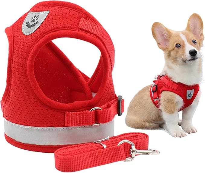Comfort Step-in Cat Dog Harness and Leash Set for Puppies Cats Kitty Escape Proof Pet Vest Harnesses for Small Animals Rabbit/Mouse/Cats (S:1.5-3KG, Red)
